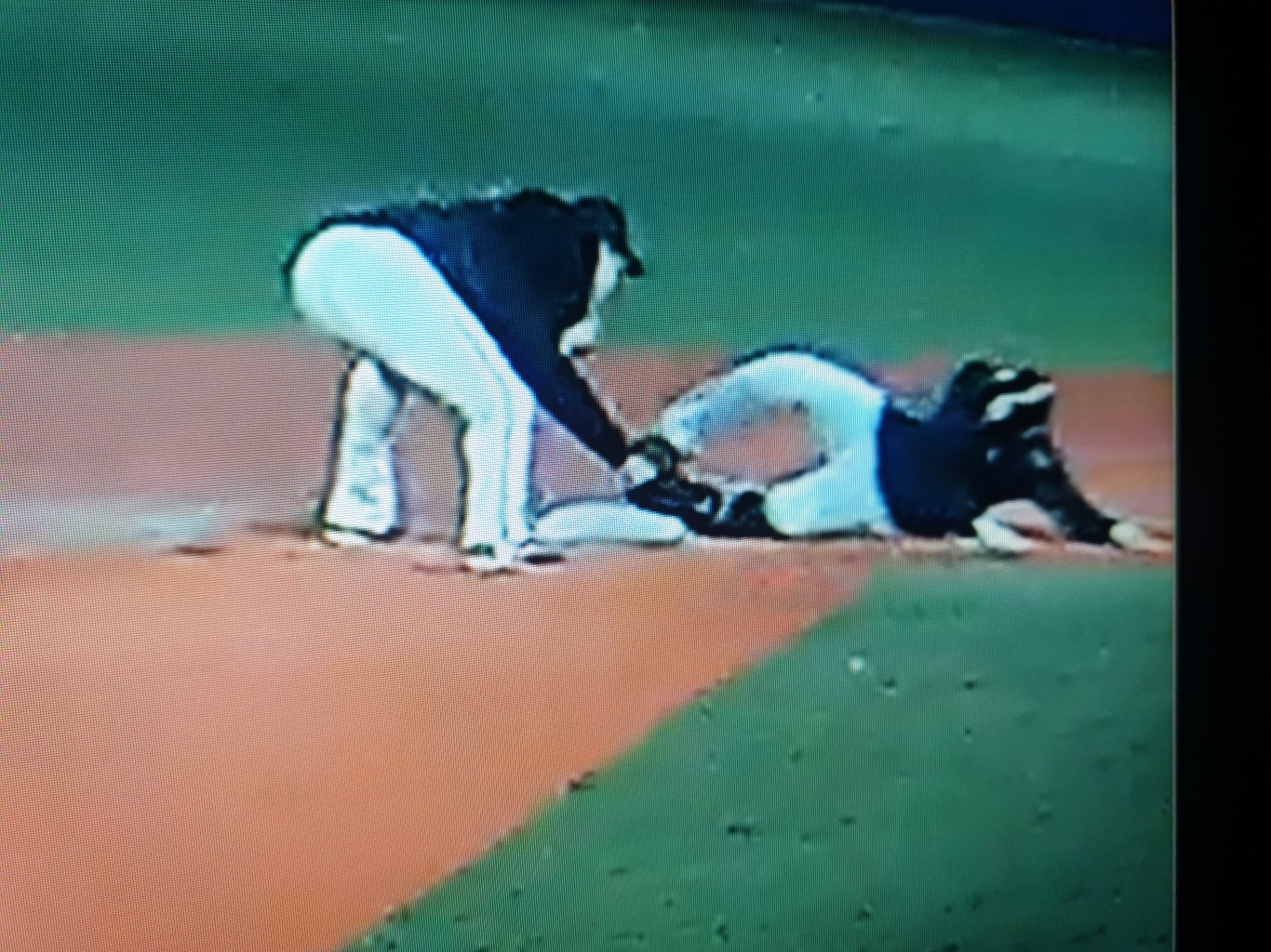 게임갤러리 리스트 이미지