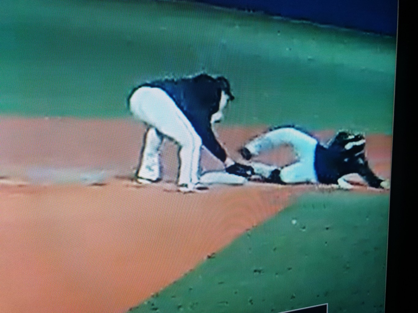 게임갤러리 리스트 이미지