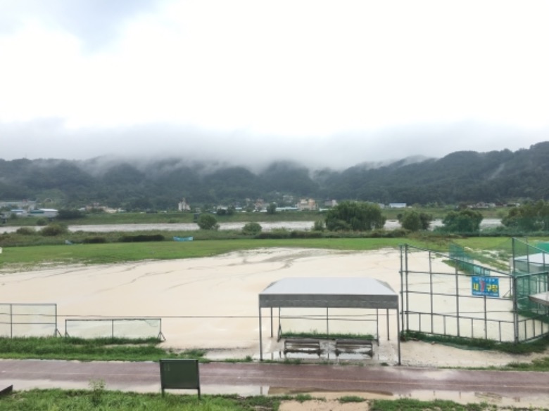 게임원 대전광역시야구소프트볼협회리그