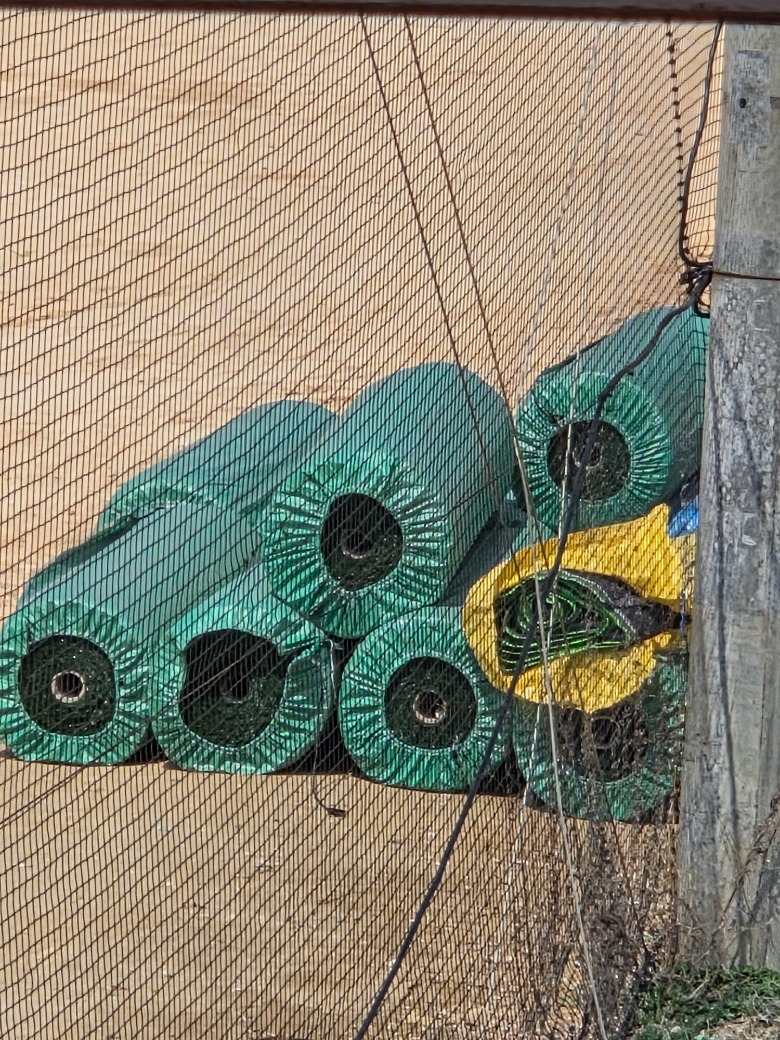 1000019083.jpg
