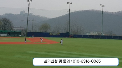 크기조정 자유로통일리그.png