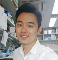 대표사진