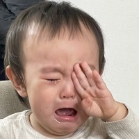 나의 사진