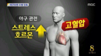 대표사진