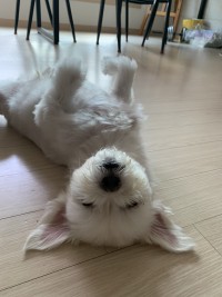 대표사진