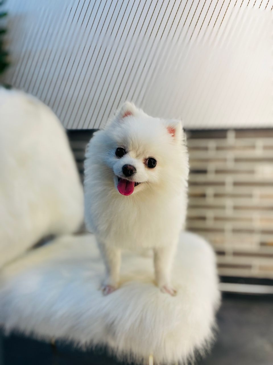 나의 사진