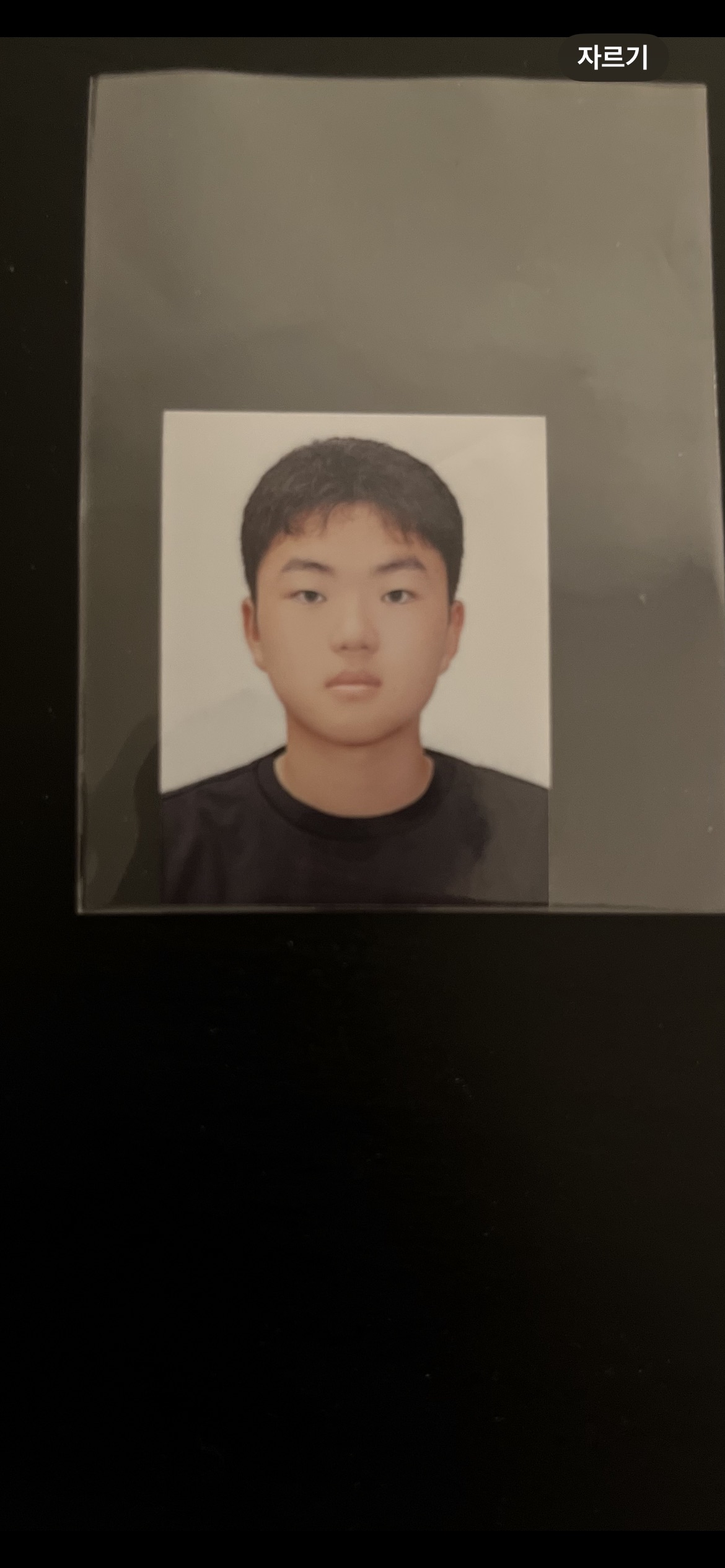 나의 사진