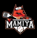 Mamiya Baseball Team