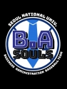 경영대 야구부 BA Souls(서울대)