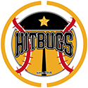 Hitbugs