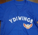 YDI wings