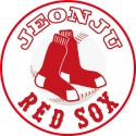 RED SOX(전주 레드삭스) baseball club