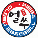 대전 임팩트 야구단