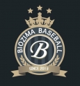 SBS baseball Team