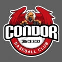 콘도르(condor)