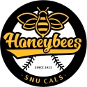 CALS Honeybees