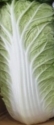 엠블렘