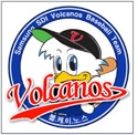 삼성SDI_Volcanos