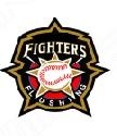 FIGHTERS B