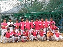 엠블렘